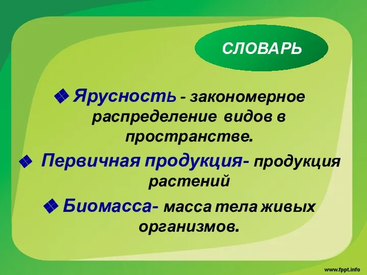 ЯрусностЬ - закономерное распределение видов в пространстве. Первичная продукция- продукция растений