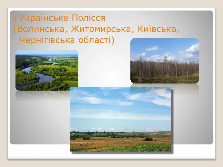 Українське Полісся (Волинська, Житомирська, Київська, Чернігівська області)