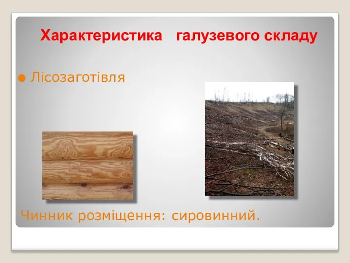 Лісозаготівля Чинник розміщення: сировинний. Характеристика галузевого складу