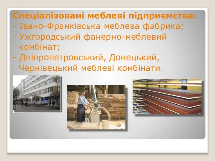 Спеціалізовані меблеві підприємства: - Івано-Франківська меблева фабрика; - Ужгородський фанерно-меблевий комбінат;