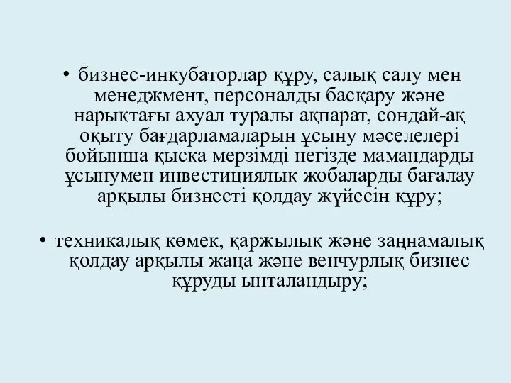 бизнес-инкубаторлар құру, салық салу мен менеджмент, персоналды басқару және нарықтағы ахуал