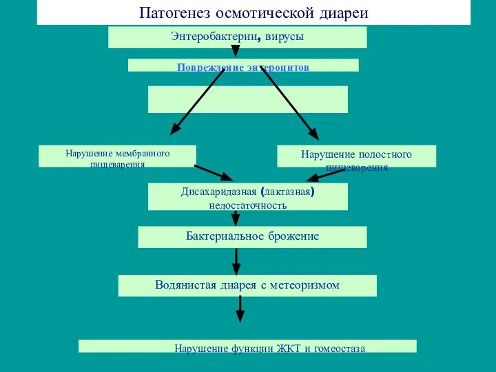 Патогенез осмотической диареи