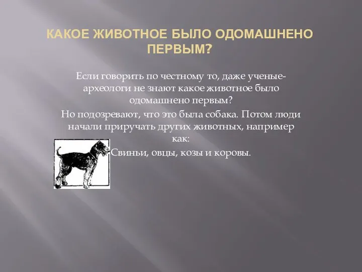 КАКОЕ ЖИВОТНОЕ БЫЛО ОДОМАШНЕНО ПЕРВЫМ? Если говорить по честному то, даже