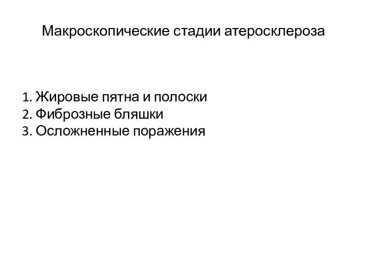 Макроскопические стадии атеросклероза 1. Жировые пятна и полоски 2. Фиброзные бляшки 3. Осложненные поражения