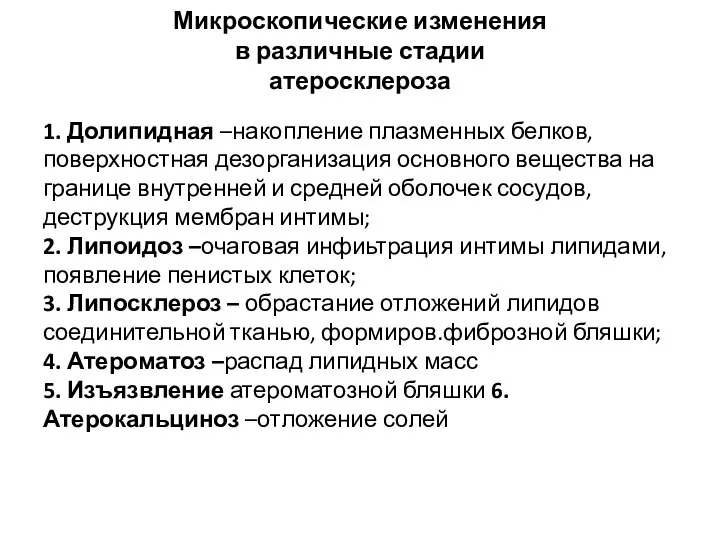 Микроскопические изменения в различные стадии атеросклероза 1. Долипидная –накопление плазменных белков,