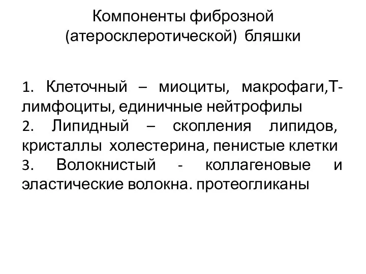 Компоненты фиброзной (атеросклеротической) бляшки 1. Клеточный – миоциты, макрофаги,Т-лимфоциты, единичные нейтрофилы