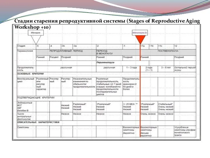 Стадии старения репродуктивной системы (Stages of Reproductive Aging Workshop +10)