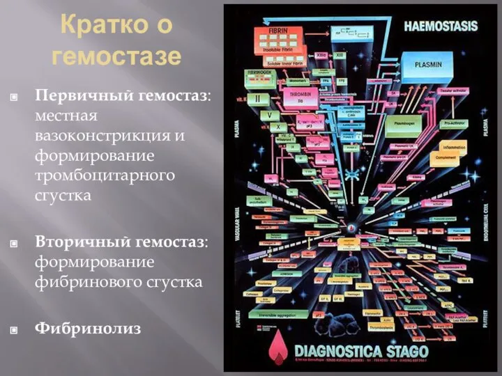 Кратко о гемостазе Первичный гемостаз: местная вазоконстрикция и формирование тромбоцитарного сгустка