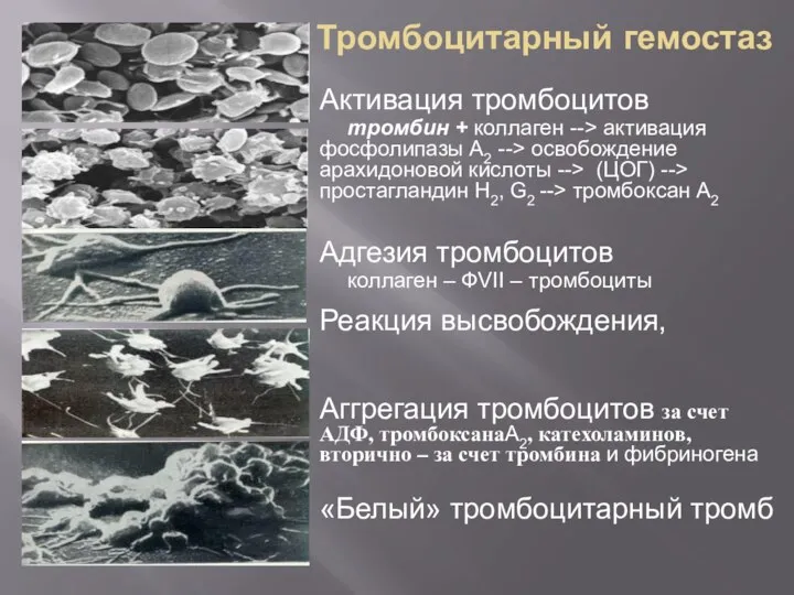 Активация тромбоцитов тромбин + коллаген --> активация фосфолипазы А2 --> освобождение