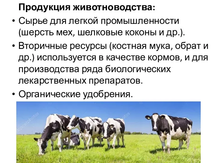 Продукция животноводства: Сырье для легкой промышленности (шерсть мех, шелковые коконы и