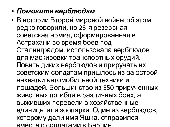 Помогите верблюдам В истории Второй мировой войны об этом редко говорили,