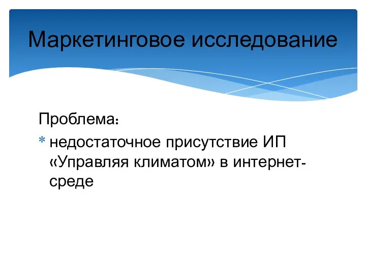 Проблема: недостаточное присутствие ИП «Управляя климатом» в интернет-среде Маркетинговое исследование