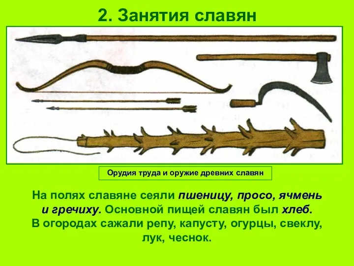 2. Занятия славян На полях славяне сеяли пшеницу, просо, ячмень и