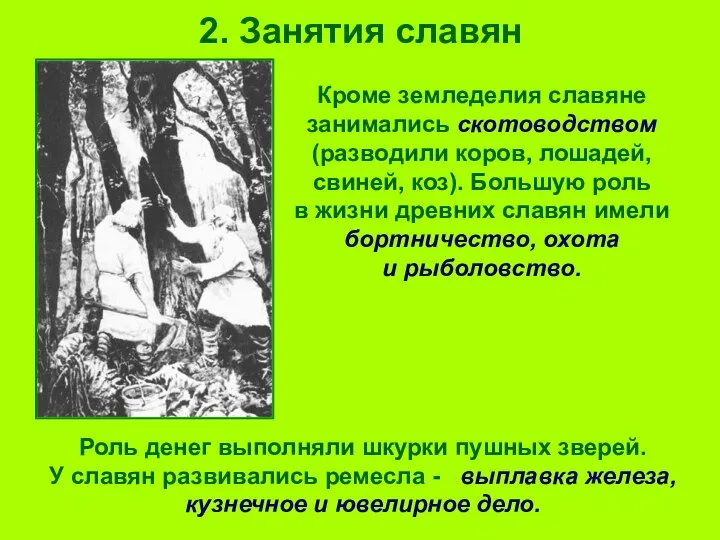 2. Занятия славян Кроме земледелия славяне занимались скотоводством (разводили коров, лошадей,