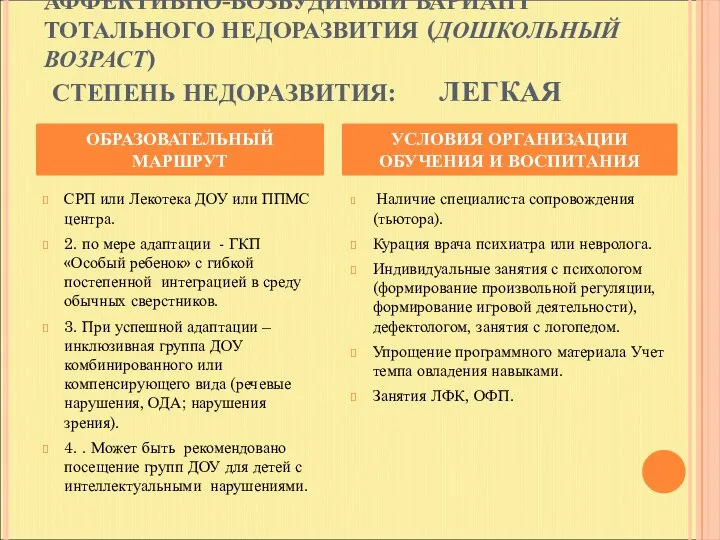 АФФЕКТИВНО-ВОЗБУДИМЫЙ ВАРИАНТ ТОТАЛЬНОГО НЕДОРАЗВИТИЯ (ДОШКОЛЬНЫЙ ВОЗРАСТ) СТЕПЕНЬ НЕДОРАЗВИТИЯ: ЛЕГКАЯ СРП или