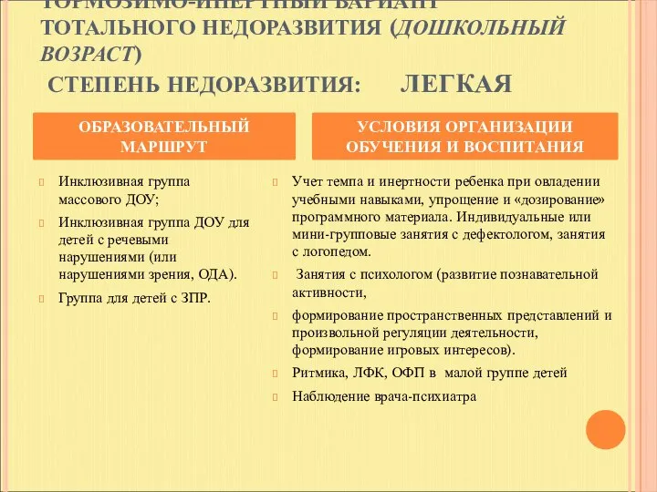 ТОРМОЗИМО-ИНЕРТНЫЙ ВАРИАНТ ТОТАЛЬНОГО НЕДОРАЗВИТИЯ (ДОШКОЛЬНЫЙ ВОЗРАСТ) СТЕПЕНЬ НЕДОРАЗВИТИЯ: ЛЕГКАЯ Инклюзивная группа