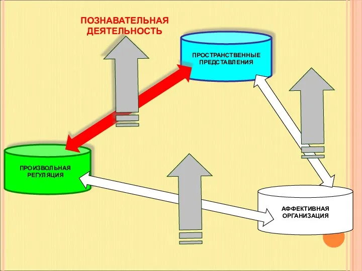 ПОЗНАВАТЕЛЬНАЯ ДЕЯТЕЛЬНОСТЬ ПРОСТРАНСТВЕННЫЕ ПРЕДСТАВЛЕНИЯ ПРОИЗВОЛЬНАЯ РЕГУЛЯЦИЯ АФФЕКТИВНАЯ ОРГАНИЗАЦИЯ
