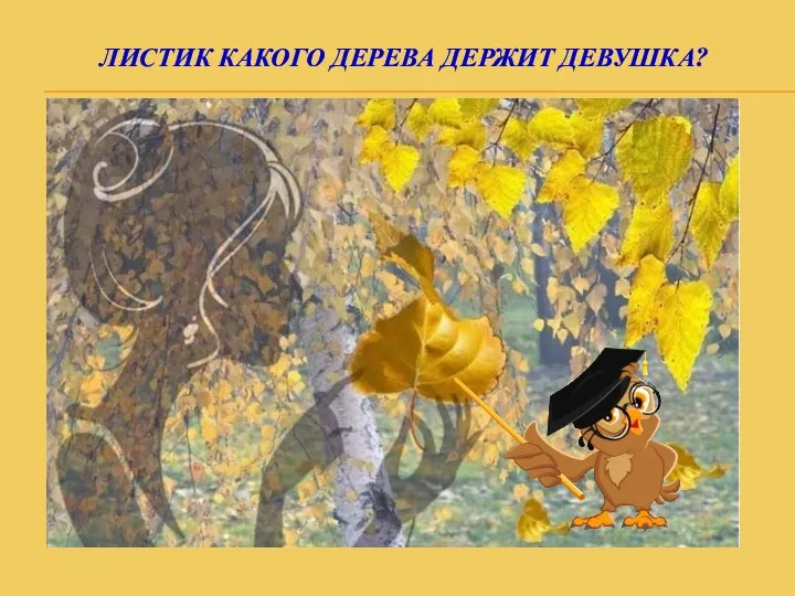 ЛИСТИК КАКОГО ДЕРЕВА ДЕРЖИТ ДЕВУШКА?