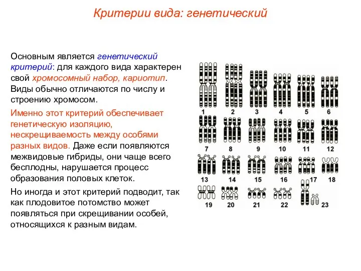 Основным является генетический критерий: для каждого вида характерен свой хромосомный набор,