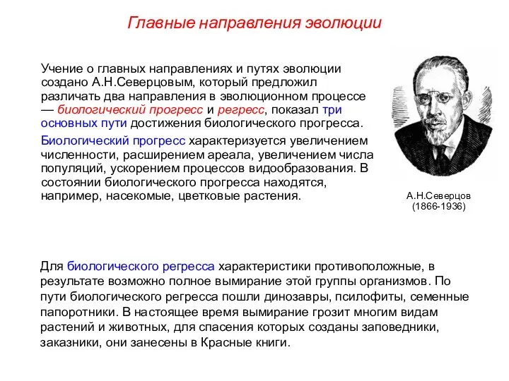 Главные направления эволюции Учение о главных направлениях и путях эволюции создано