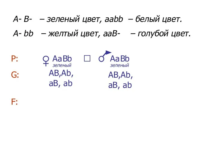 A В а b А В а b A- B- –