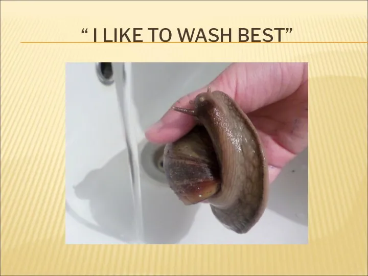 “ I LIKE TO WASH BEST”