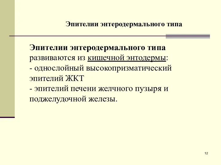 Эпителии энтеродермального типа Эпителии энтеродермального типа развиваются из кишечной энтодермы: -