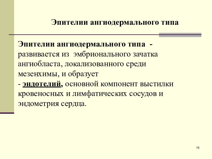 Эпителии ангиодермального типа - развивается из эмбрионального зачатка ангиобласта, локализованного среди