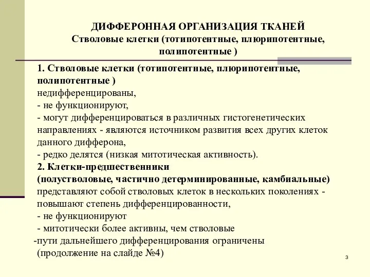 1. Стволовые клетки (тотипотентные, плюрипотентные, полипотентные ) недифференцированы, - не функционируют,