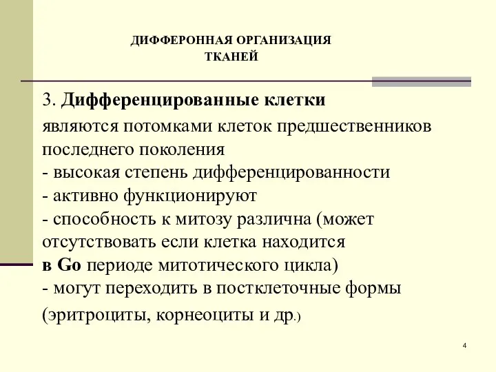 ДИФФЕРОННАЯ ОРГАНИЗАЦИЯ ТКАНЕЙ 3. Дифференцированные клетки являются потомками клеток предшественников последнего