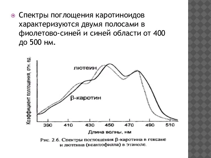 Спектры поглощения каротиноидов характеризуются двумя полосами в фиолетово-синей и синей области от 400 до 500 нм.