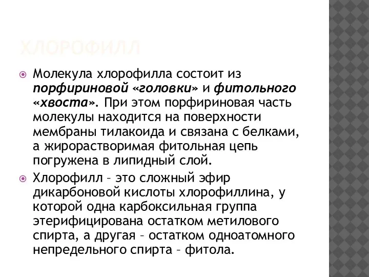 ХЛОРОФИЛЛ Молекула хлорофилла состоит из порфириновой «головки» и фитольного «хвоста». При