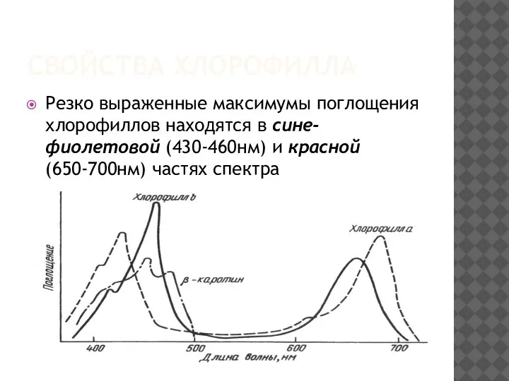 СВОЙСТВА ХЛОРОФИЛЛА Резко выраженные максимумы поглощения хлорофиллов находятся в сине-фиолетовой (430-460нм) и красной (650-700нм) частях спектра