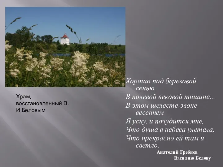 Хорошо под березовой сенью В полевой вековой тишине... В этом шелесте-звоне