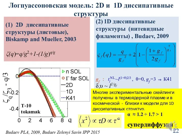 (2) 1D диссипативные структуры (нитевидные филаменты) , Budaev, 2009 gf :