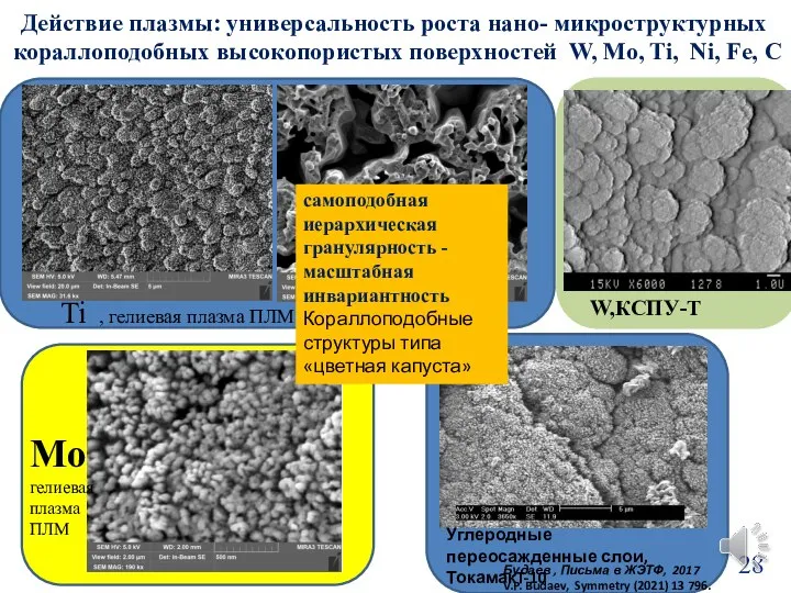 Действие плазмы: универсальность роста нано- микроструктурных кораллоподобных высокопористых поверхностей W, Mo,