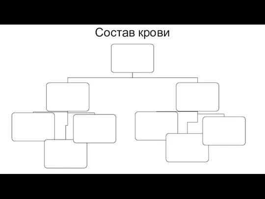 Состав крови