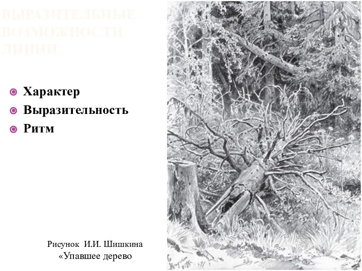 ВЫРАЗИТЕЛЬНЫЕ ВОЗМОЖНОСТИ ЛИНИИ Характер Выразительность Ритм Рисунок И.И. Шишкина «Упавшее дерево