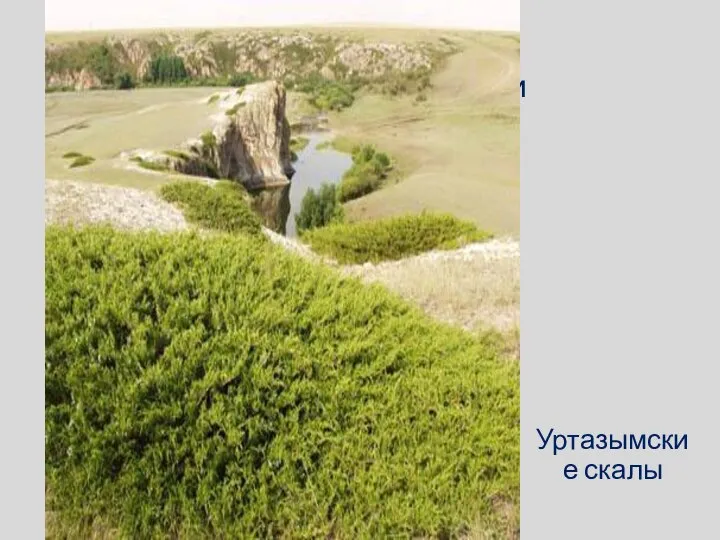 Памятники природы Оренбургской области Уртазымские скалы