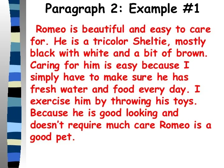 Paragraph 2: Example #1 Romeo is beautiful and easy to care