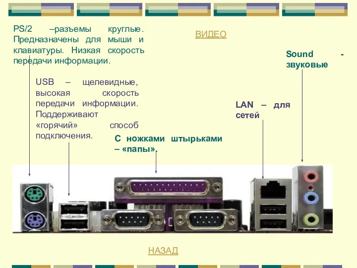 PS/2 –разъемы круглые. Предназначены для мыши и клавиатуры. Низкая скорость передачи