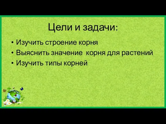 Цели и задачи: Изучить строение корня Выяснить значение корня для растений Изучить типы корней