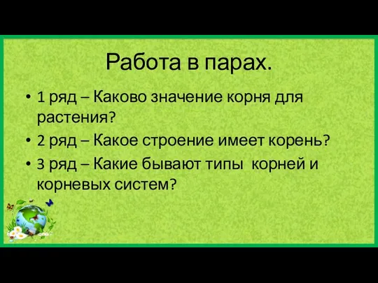 Работа в парах. 1 ряд – Каково значение корня для растения?