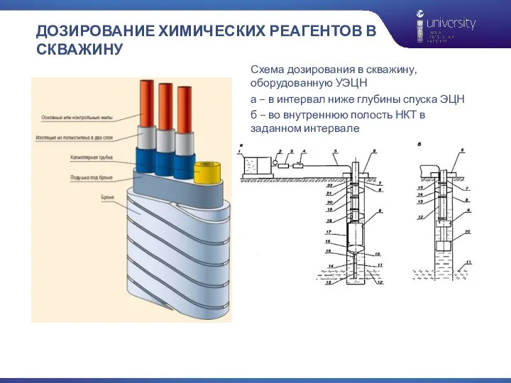 ДОЗИРОВАНИЕ ХИМИЧЕСКИХ РЕАГЕНТОВ В СКВАЖИНУ Схема дозирования в скважину, оборудованную УЭЦН