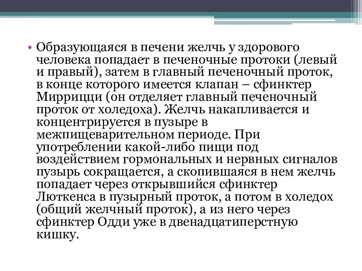 Образующаяся в печени желчь у здорового человека попадает в печеночные протоки