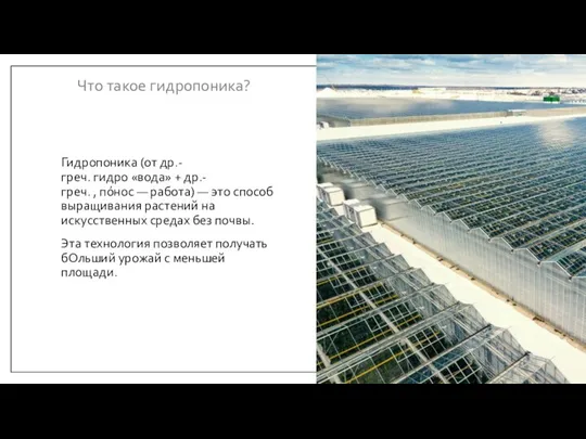 Что такое гидропоника? Гидропоника (от др.-греч. гидро «вода» + др.-греч. ,