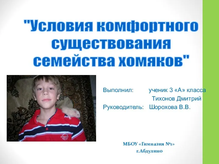 Выполнил: ученик 3 «А» класса Тихонов Дмитрий Руководитель: Шорохова В.В. "Условия