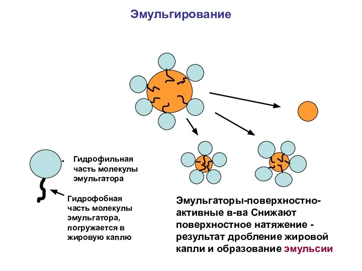 Эмульгирование Гидрофильная часть молекулы эмульгатора Гидрофобная часть молекулы эмульгатора, погружается в