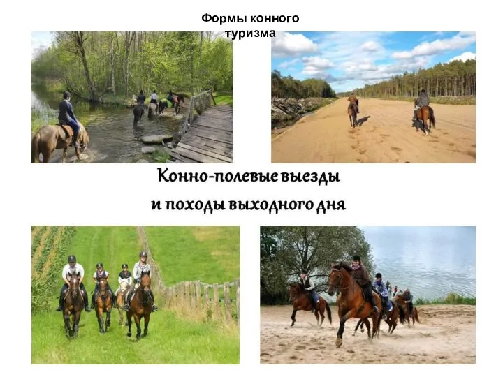 Формы конного туризма