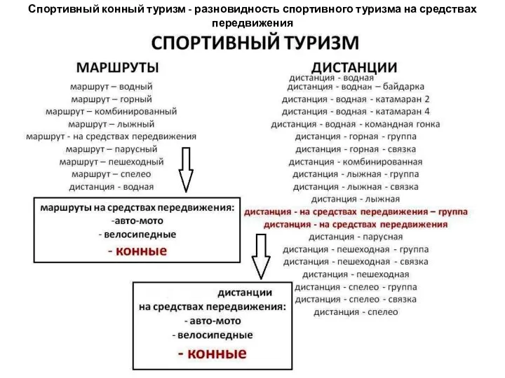 Спортивный конный туризм - разновидность спортивного туризма на средствах передвижения